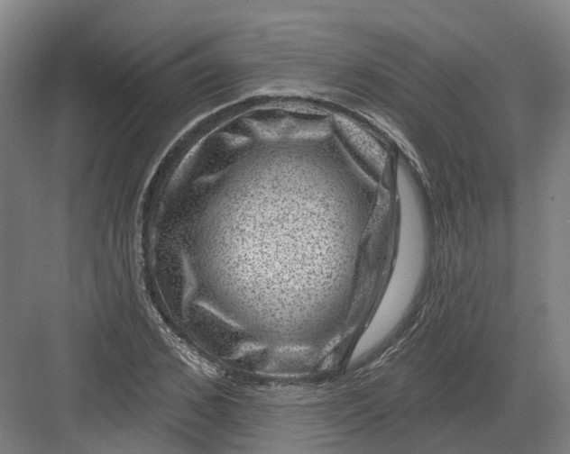 X0000082760976200702162021