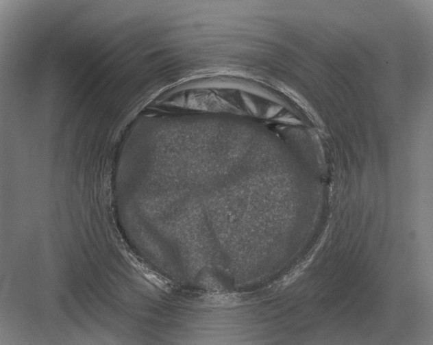 X0000082760977200702162021