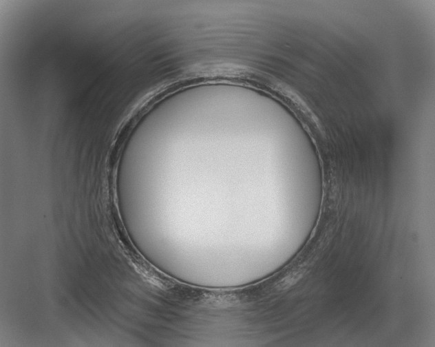 X0000082760978200702162021