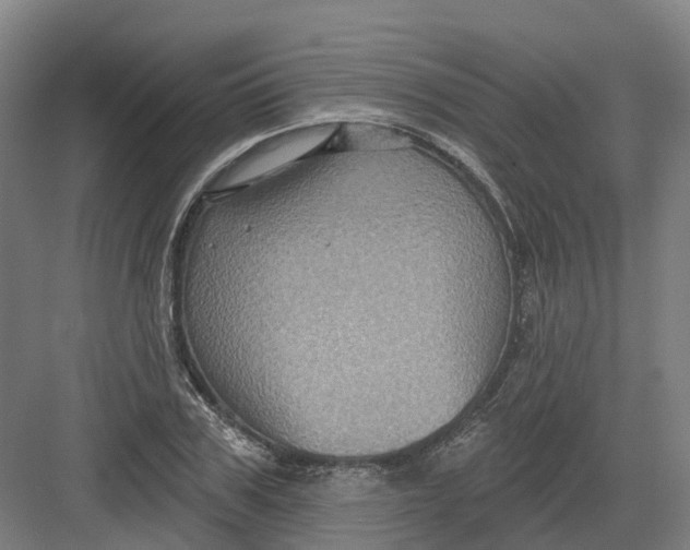 X0000082760979200702162021