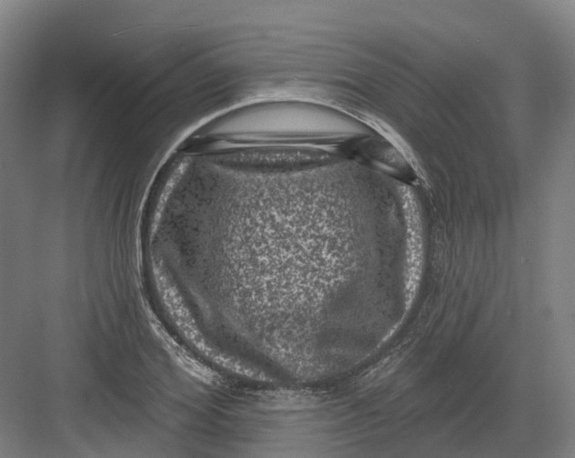 X0000082760980200702162021