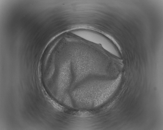 X0000082760983200702162021