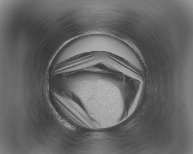 X0000082760984200702162021