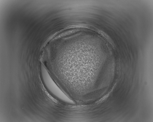 X0000082760985200702162021