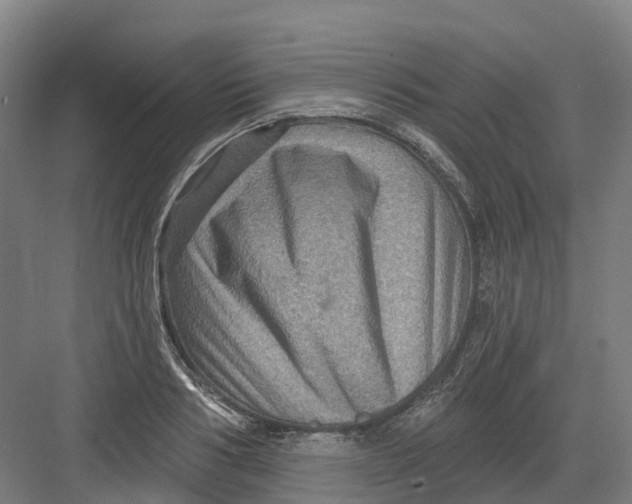 X0000082760986200702162021