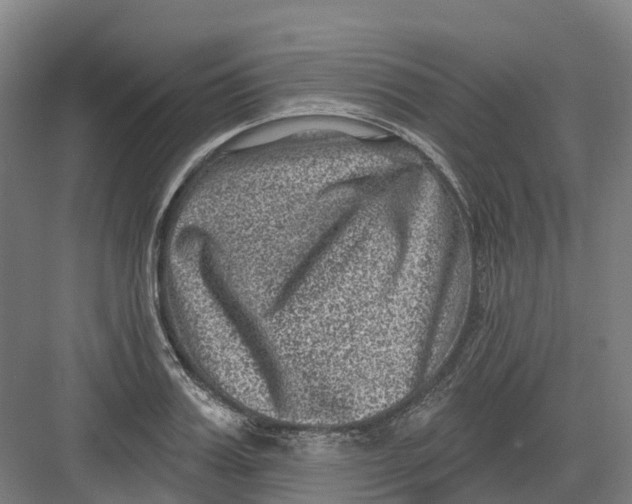 X0000082760987200702162021