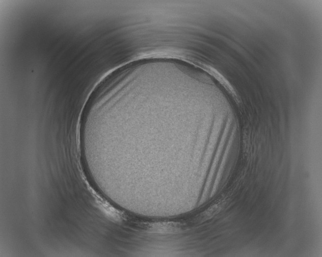 X0000082760988200702162021