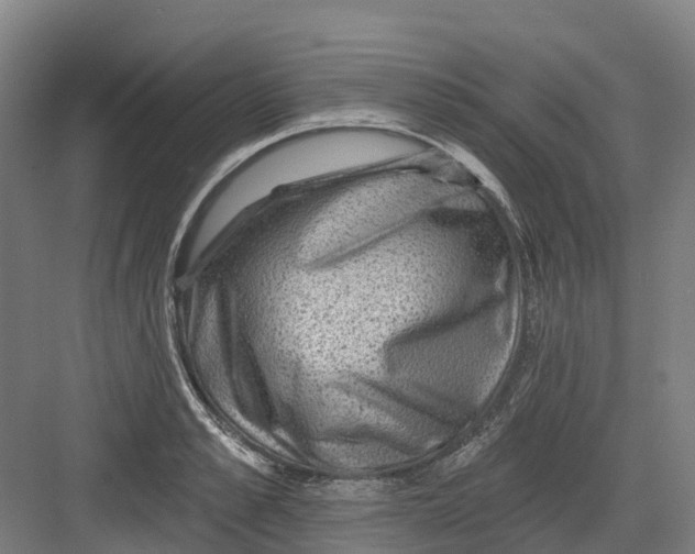 X0000082760989200702162021