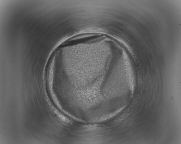 X0000082760990200702162021