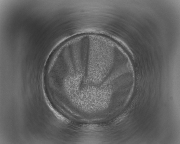 X0000082760991200702162021