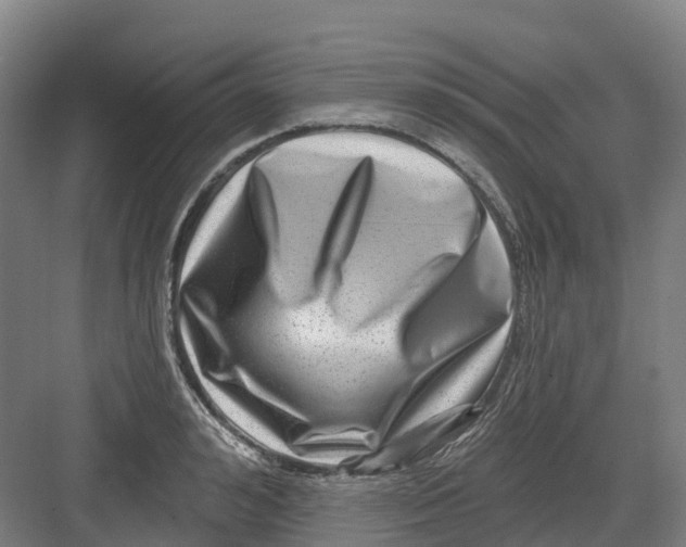 X0000082760992200702162021