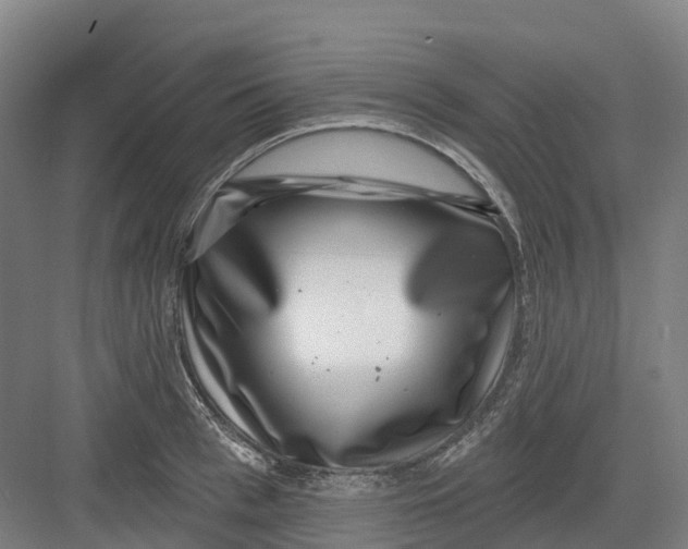 X0000082760993200702162021