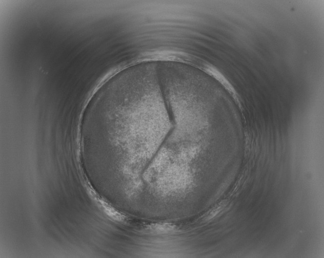 X0000082760994200702162021