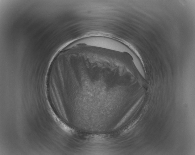 X0000082760995200702162020