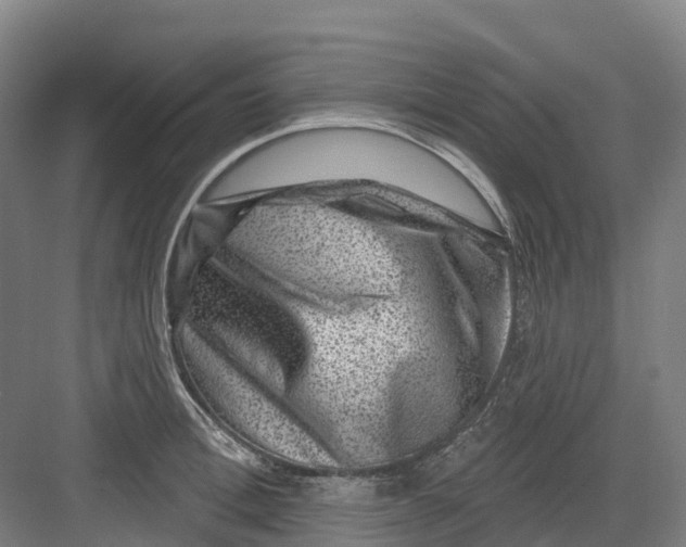 X0000082760996200702162020