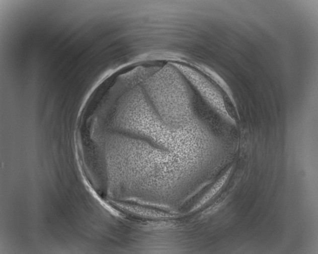 X0000082760997200702162020