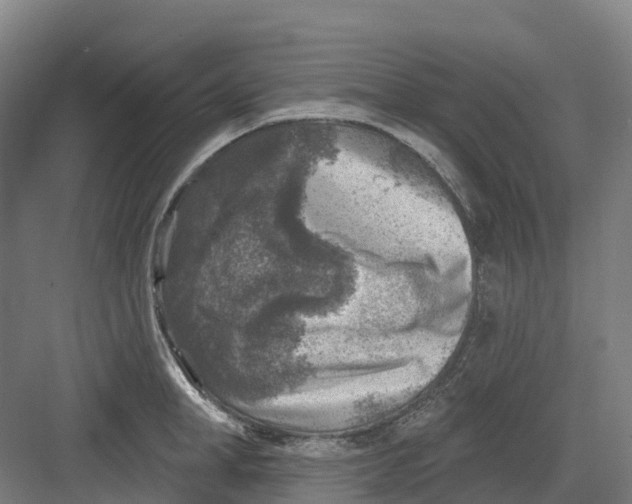 X0000082760998200702162020