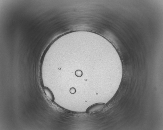 X0000082761000200702162020