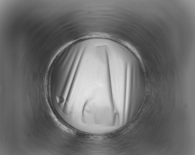 X0000082761003200702162020