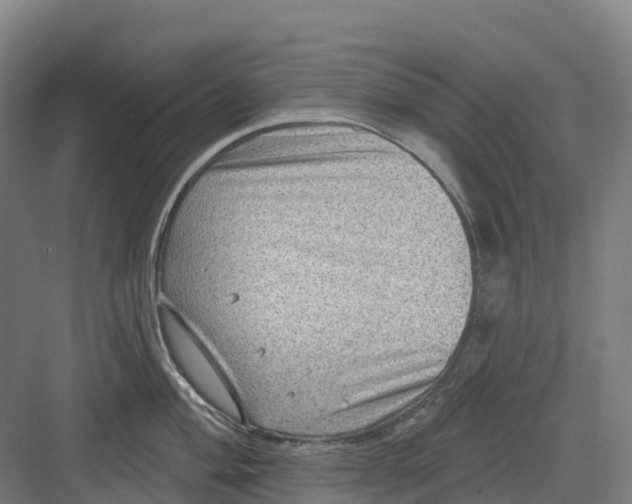 X0000082761004200702162020