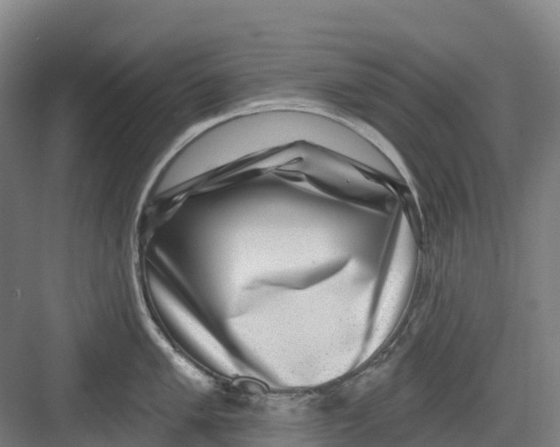 X0000082761005200702162020