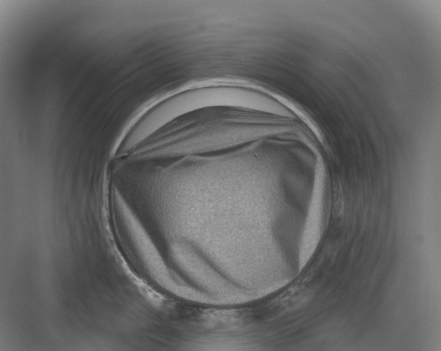 X0000082761006200702162020