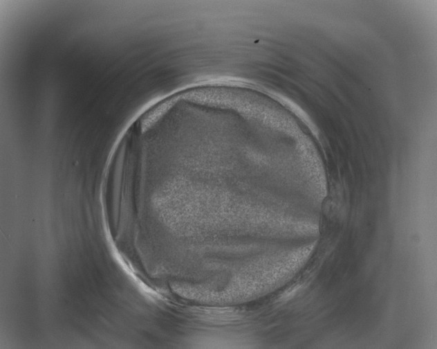 X0000082761007200702162020