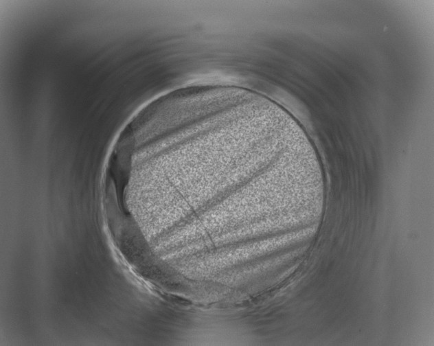 X0000082761008200702162020