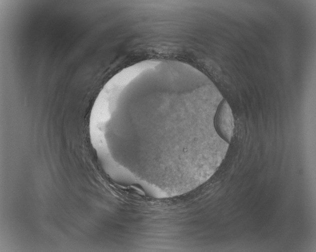 X0000082761009200702162019