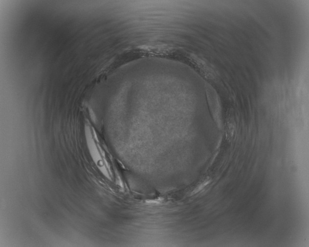 X0000082761010200702162019