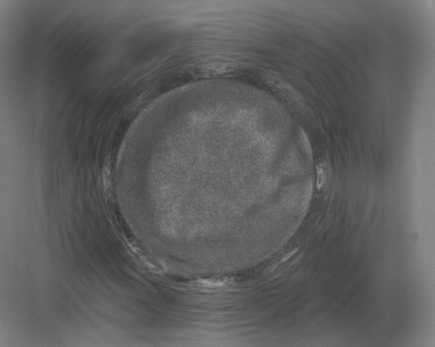 X0000082761011200702162020