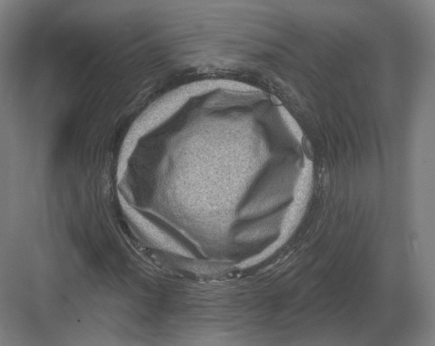 X0000082761012200702162020