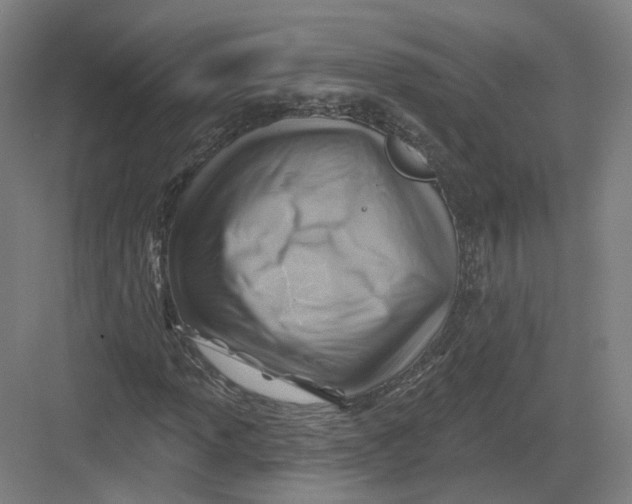 X0000082761013200702162020