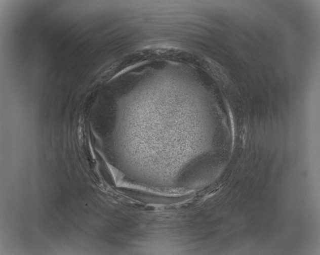 X0000082761014200702162020