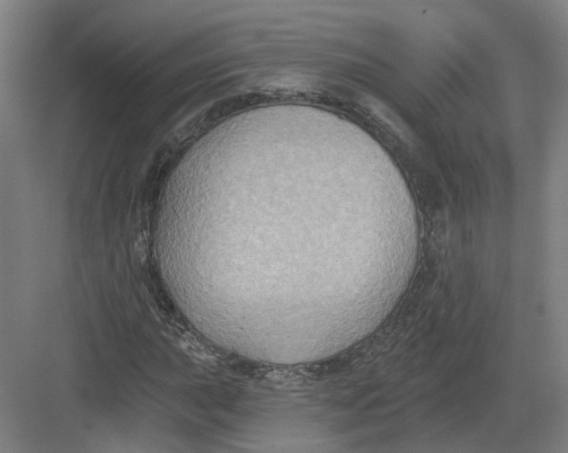 X0000082761015200702162020