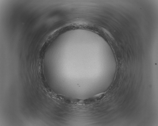 X0000082761016200702162020