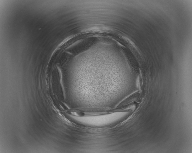 X0000082761018200702162020