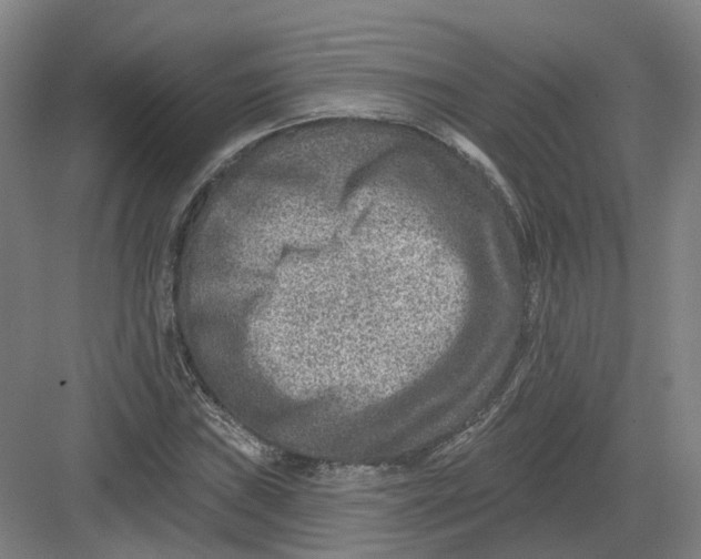 X0000082761019200702162020