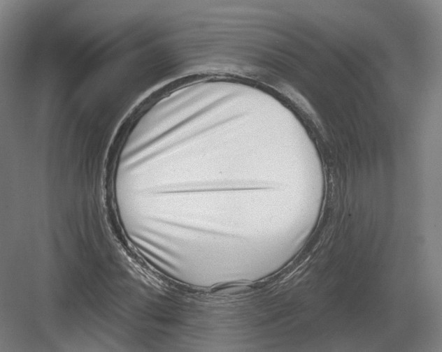 X0000082761020200702162020