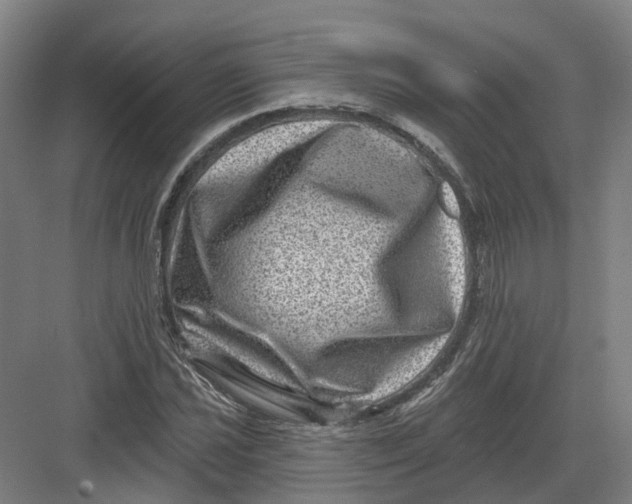 X0000082761021200702162020