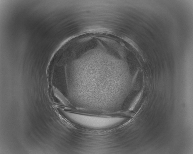 X0000082761022200702162020