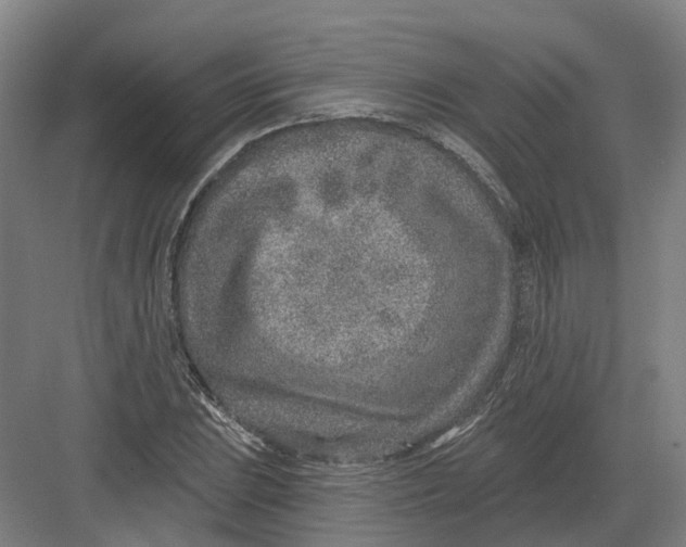 X0000082761023200702162020