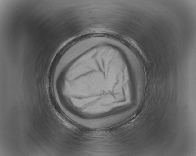 X0000082761024200702162020