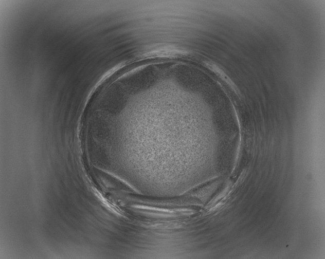 X0000082761026200702162020