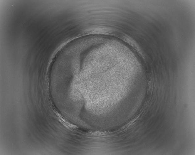 X0000082761027200702162020