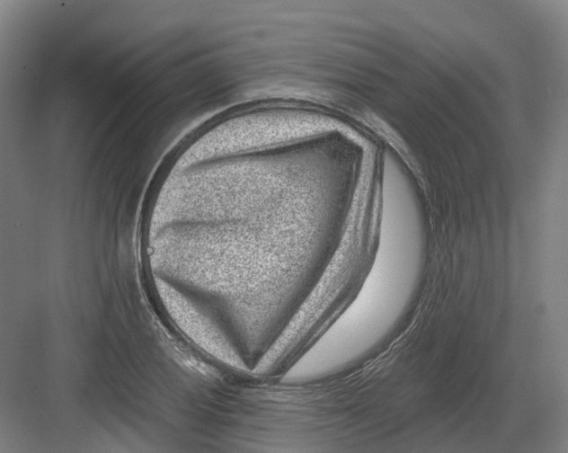 X0000082761028200702162020