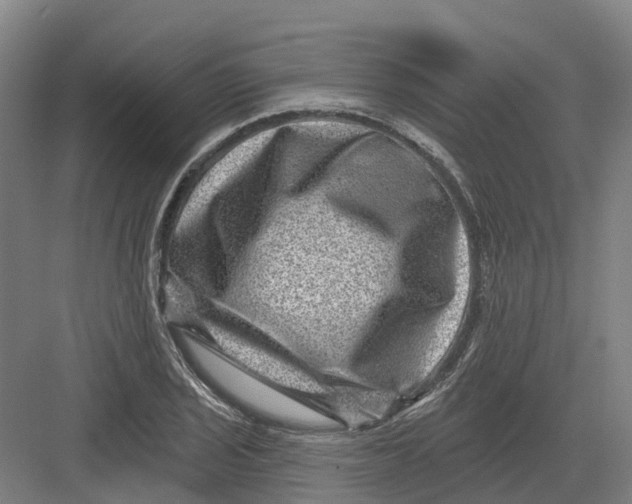 X0000082761029200702162020