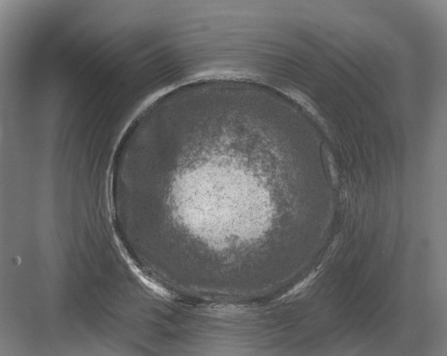 X0000082761030200702162020