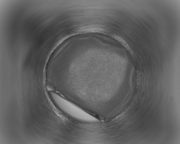 X0000082761031200702162020