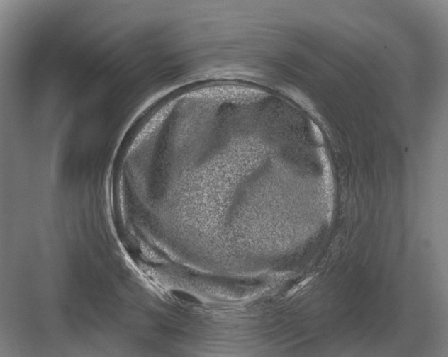 X0000082761032200702162020